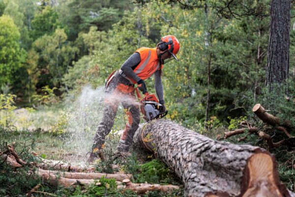 husqvarna 550XP mark 2