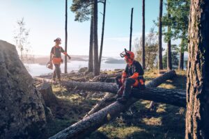 accessori foresta