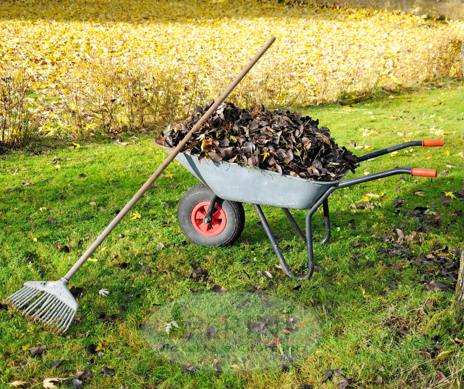 La cura del giardino in autunno