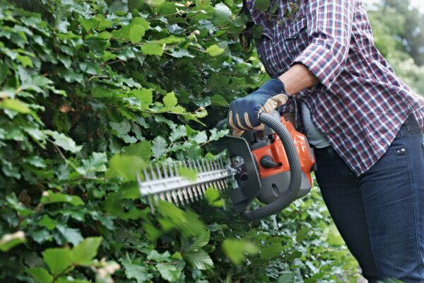 tagliasiepi A SCOPPIO husqvarna 122HD60
