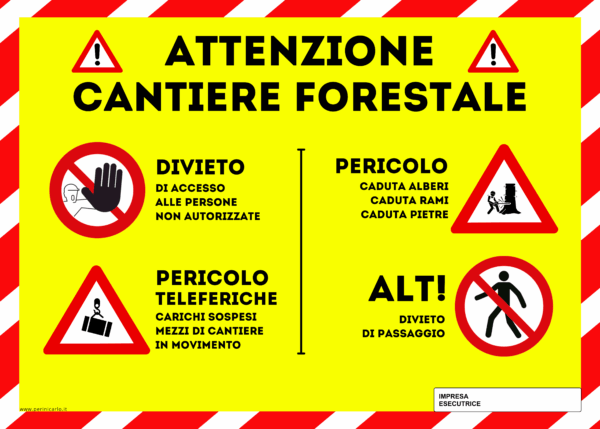 CANTIERE FORESTALE