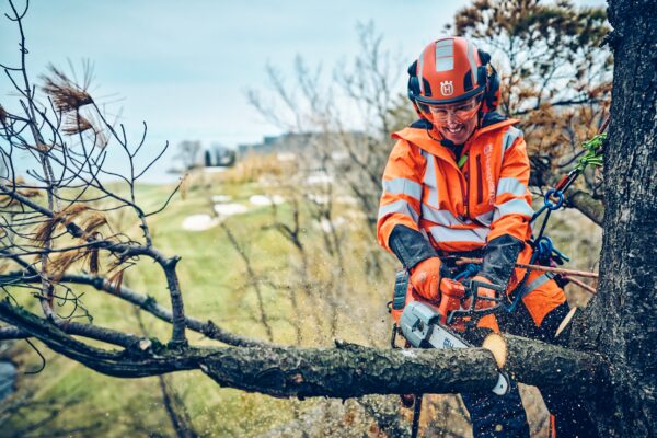 motosega professionale a batteria