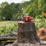 Husqvarna Group: 330 Anni di Innovazione nel Verde