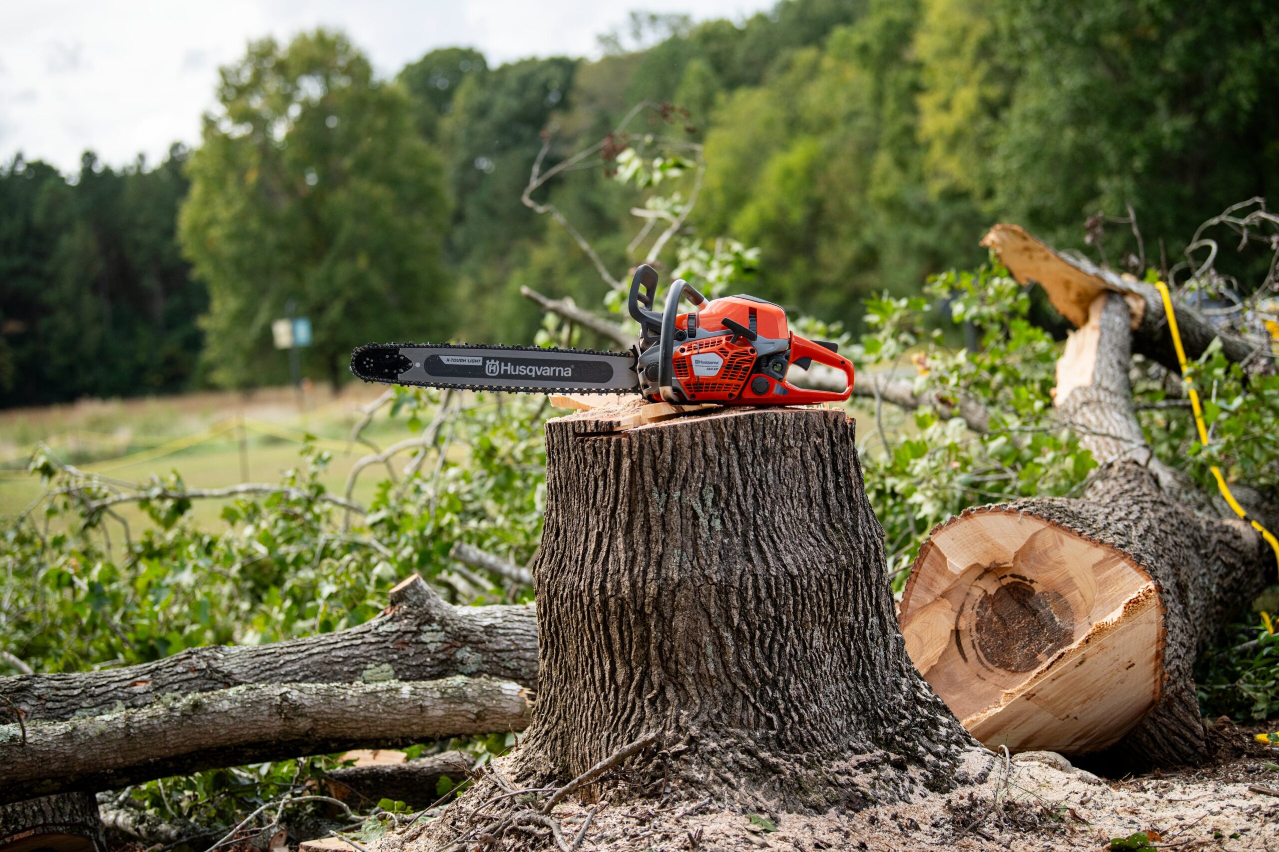 Husqvarna Group: 330 Anni di Innovazione nel Verde