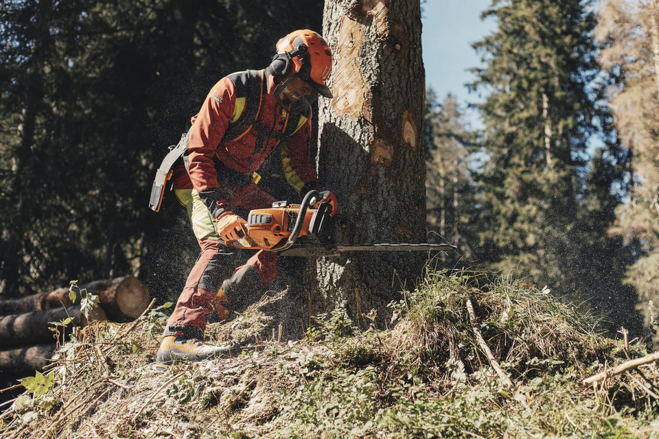 SCARPONE AKU CIMBRA GTX NEL BOSCO